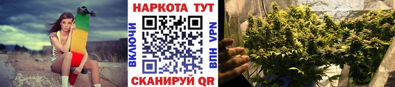 Купить закладку Псилоцибиновые грибы  Марихуана  Меф мяу мяу  АМФЕТАМИН  ГАШИШ  Alpha PVP  Грязи