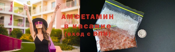 ГАЛЛЮЦИНОГЕННЫЕ ГРИБЫ Дмитриев