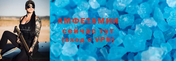 ГАЛЛЮЦИНОГЕННЫЕ ГРИБЫ Дмитриев