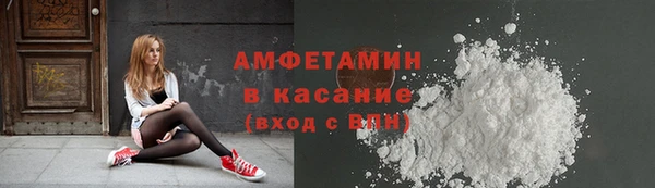 ГАЛЛЮЦИНОГЕННЫЕ ГРИБЫ Дмитриев
