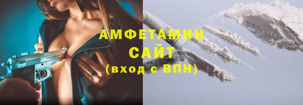 ГАЛЛЮЦИНОГЕННЫЕ ГРИБЫ Дмитриев