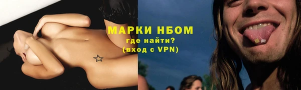 ГАЛЛЮЦИНОГЕННЫЕ ГРИБЫ Дмитриев