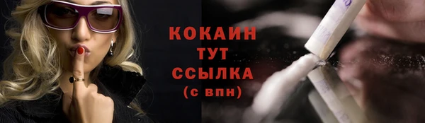 ГАЛЛЮЦИНОГЕННЫЕ ГРИБЫ Дмитриев