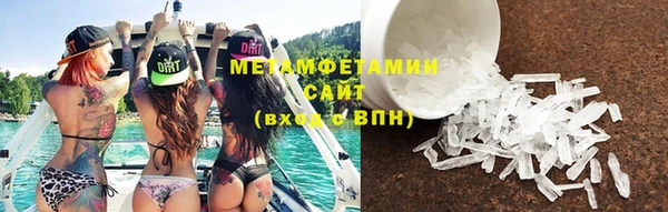 ГАЛЛЮЦИНОГЕННЫЕ ГРИБЫ Дмитриев
