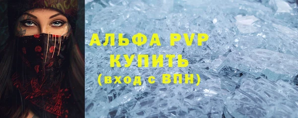 ГАЛЛЮЦИНОГЕННЫЕ ГРИБЫ Дмитриев