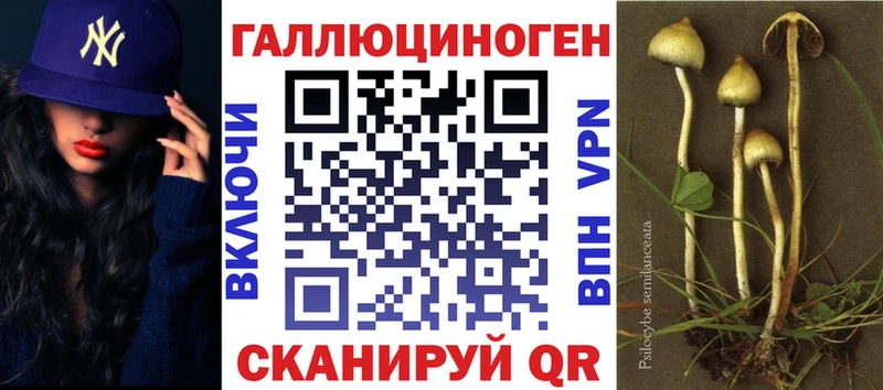 Галлюциногенные грибы Magic Shrooms  Купить закладки  Грязи 